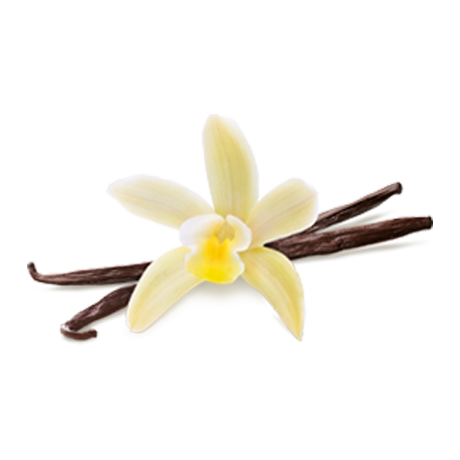 Vanilla Pint Ingredient